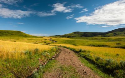 Kitulo National Park