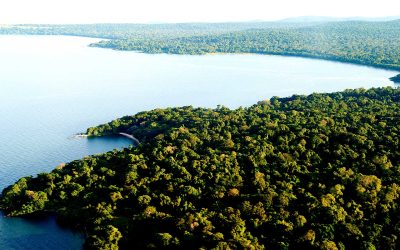 Rubondo Island National Park