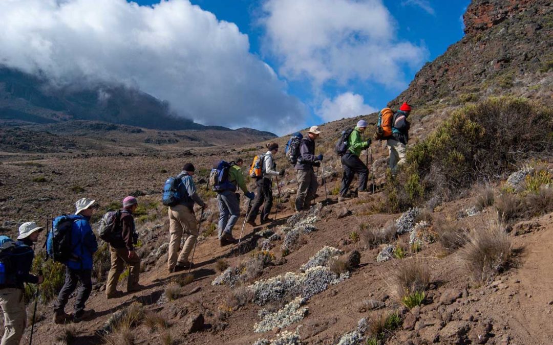 Kilimanjaro Climbing Marangu Route 3 Days,